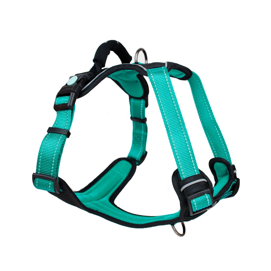 Huskimo Harness