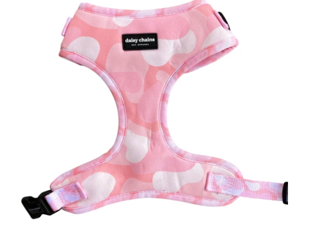 Daisy Chains Harness – The Grooming Lounge Daycare