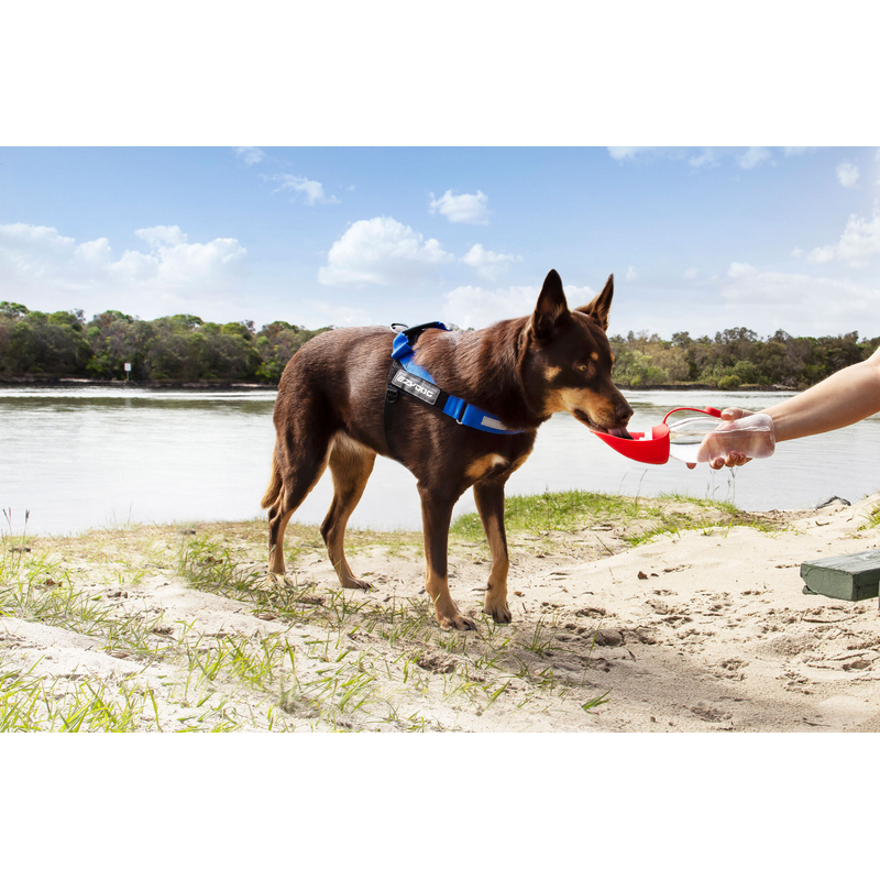 EzyDog Leaf Bottle Red