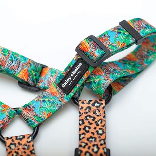 Daisy Chains Harness