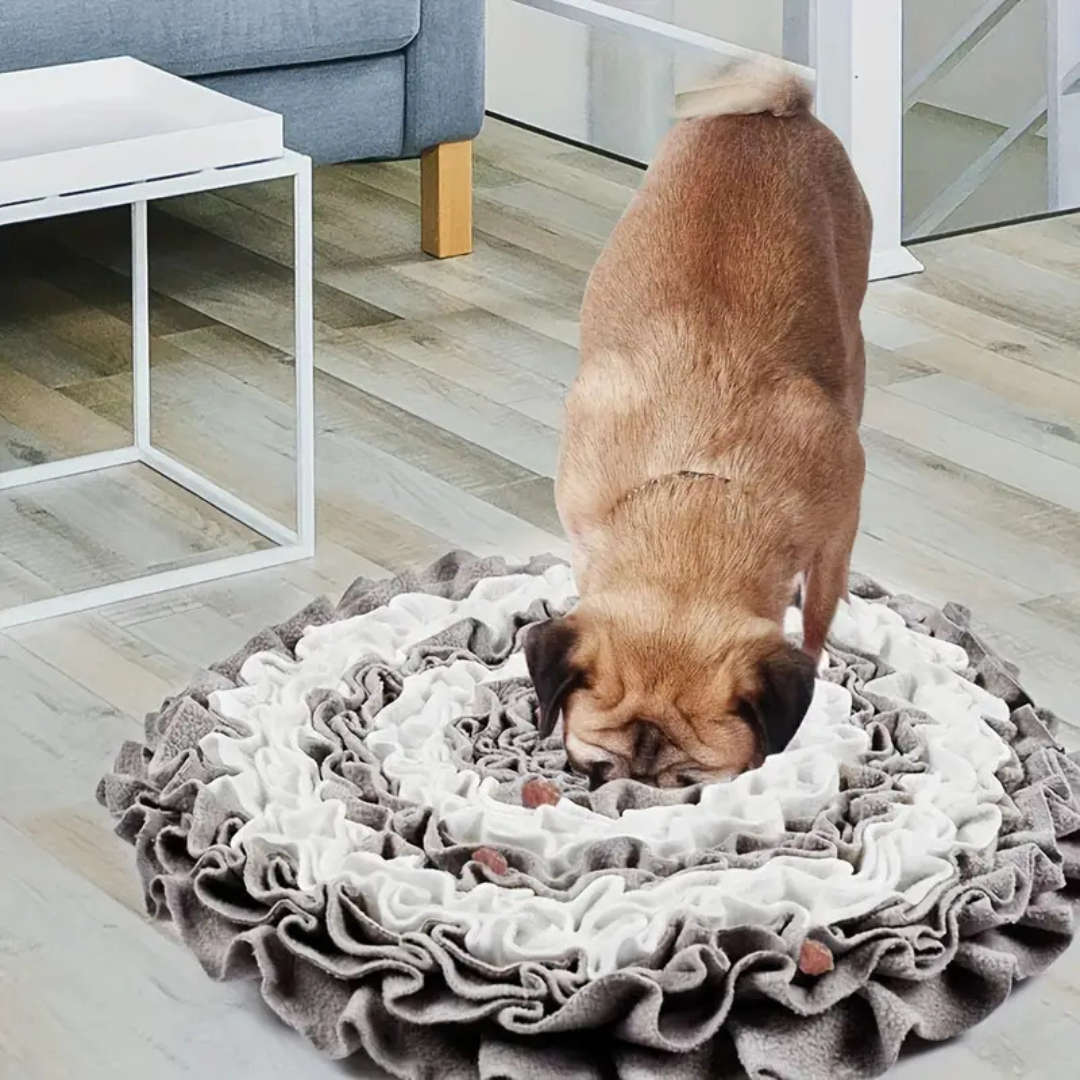 Snuffle Mat Enrichment Activity - Floral