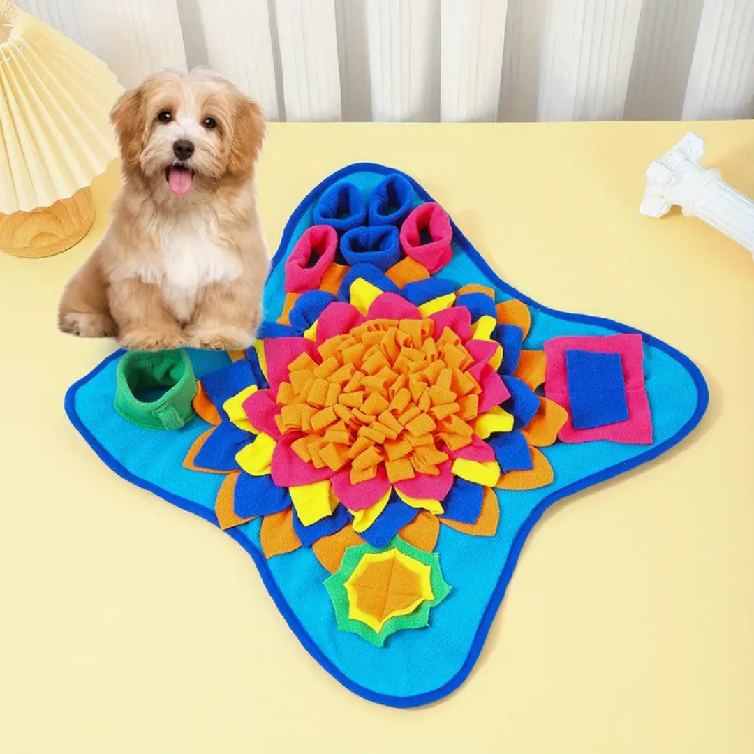 Snuffle Mat Enrichment Activity - Daisy