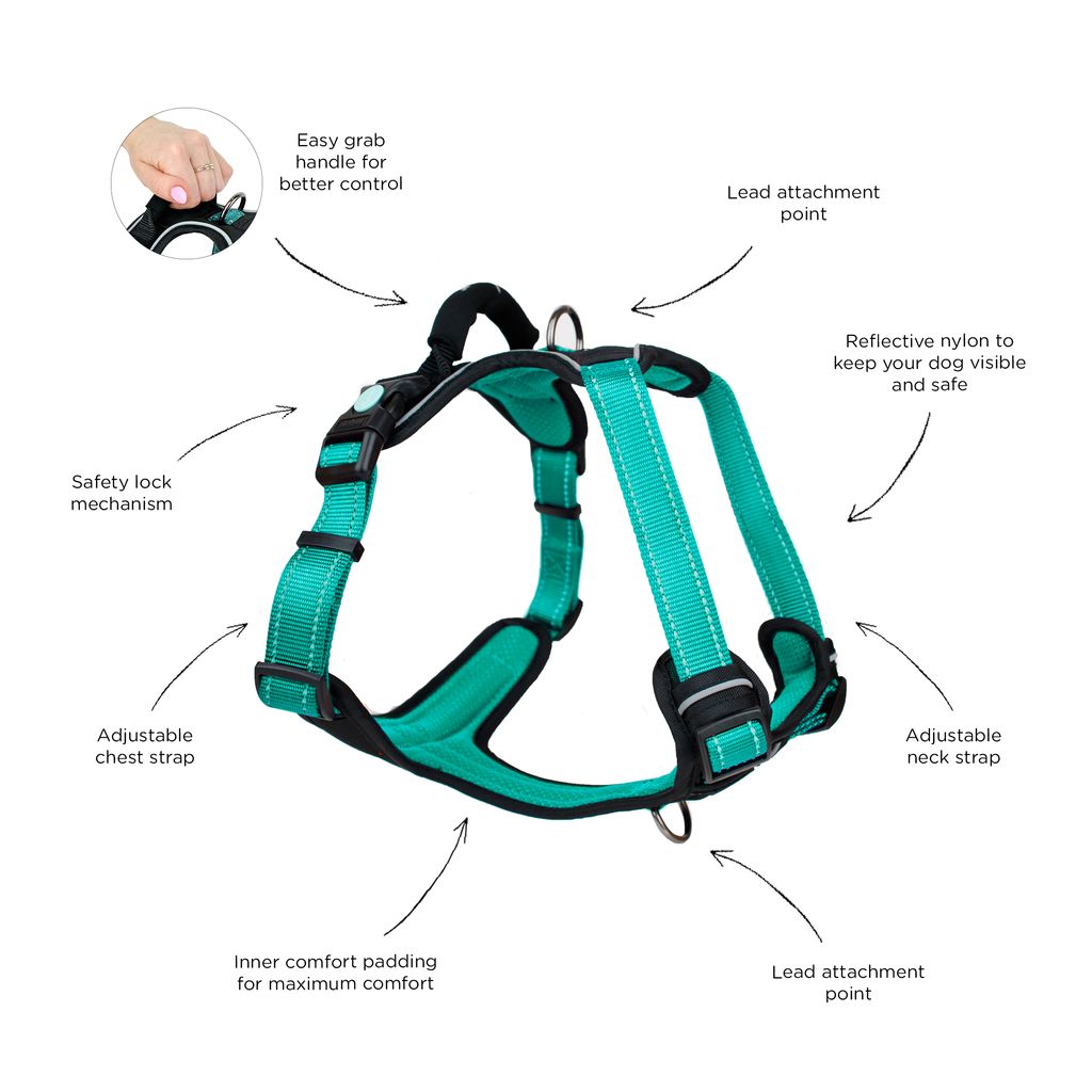 Huskimo Harness