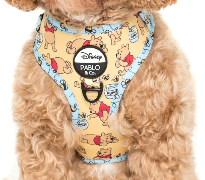 Disney Harness
