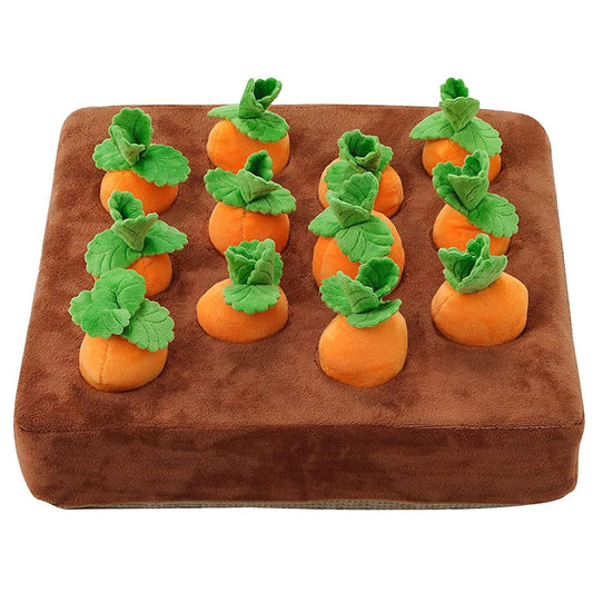 Carrot Patch Enrichment Activity