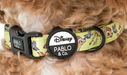 Disney Collars