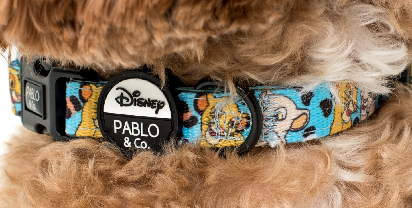 Disney Collars