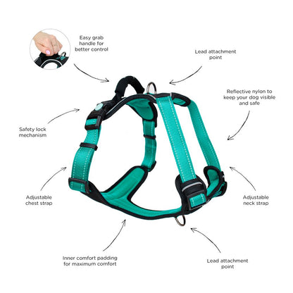 Huskimo Harness