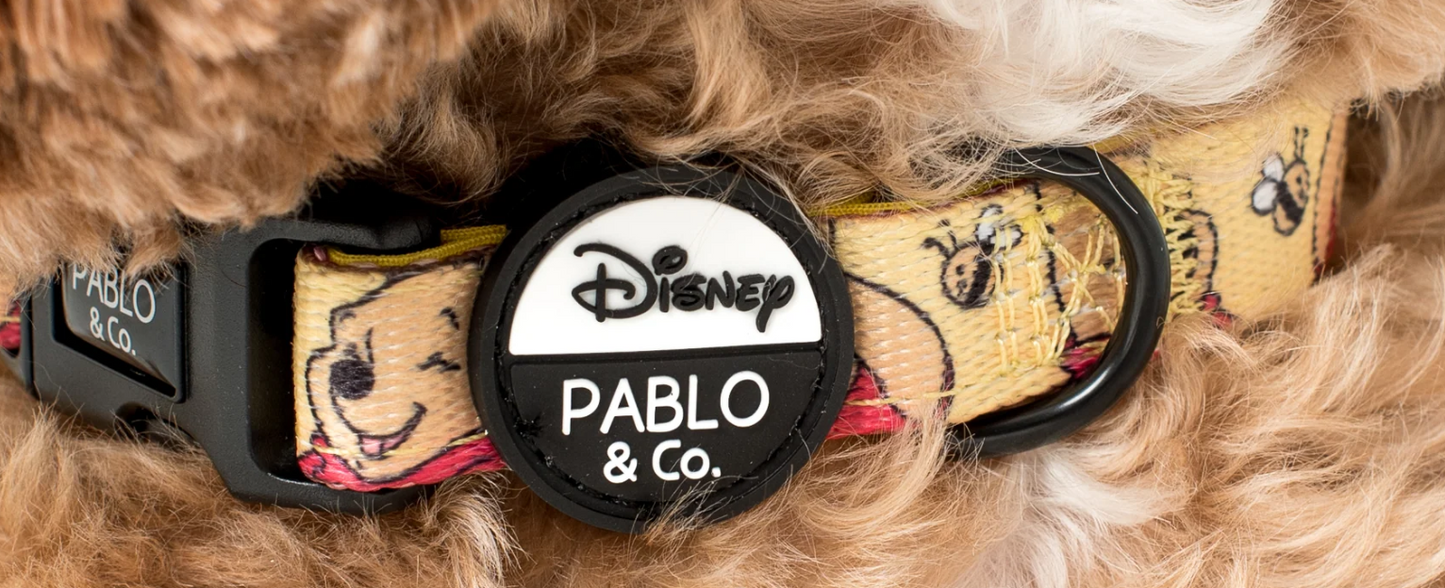 Disney Collars