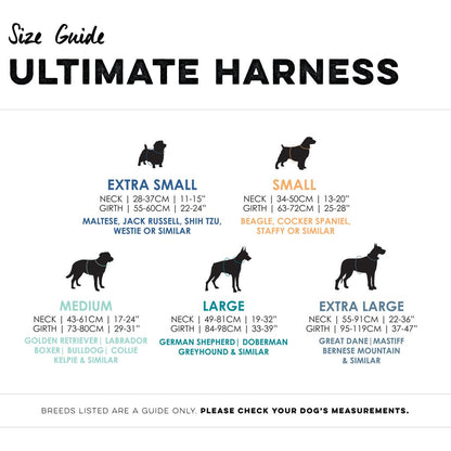 Huskimo Harness