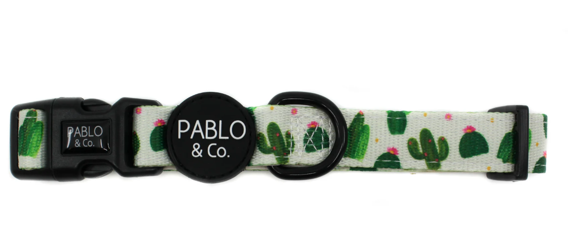 Pablo & Co Collars