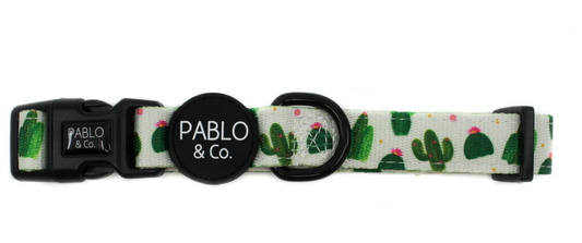 Pablo & Co Collars